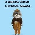 Аватара пользователя