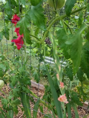 Resized_20200913_085044.jpeg