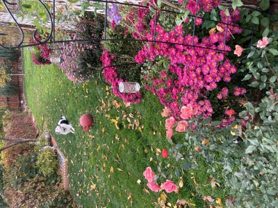 IMG_0698.jpg