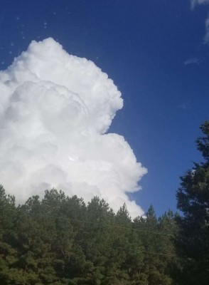 7f99c75c5ea14bf6baeb0dbc9a3ebe4de24740b8b9ce515b1f47d499779c4b76 copy.jpg