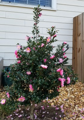 20201109_103648.jpg