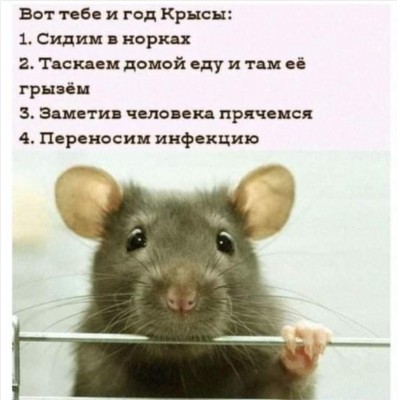 AFBE1D76-4EE1-4EBA-B543-A091BC4E8FC9.jpeg
