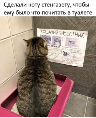 90D9697A-BF67-4AA2-B9B8-2ED4AACCFA58.jpeg