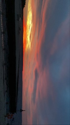 62F46145-7F38-4CE1-B032-96BB79AECBEF.jpeg