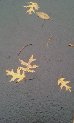 20201224_135415.jpg