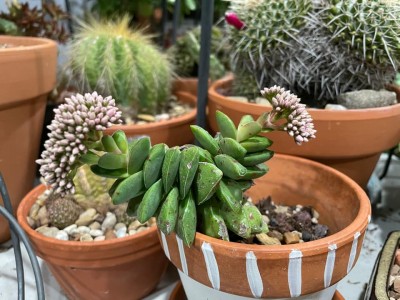 141781433_4200456056635988_6791906021894328761_n (1).jpg