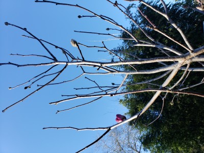 20210202_155458.jpg