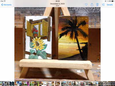IMG_1439.PNG