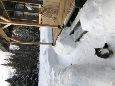 IMG_0036.jpg
