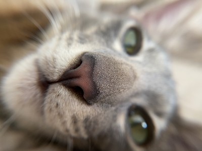 IMG_7678.jpeg