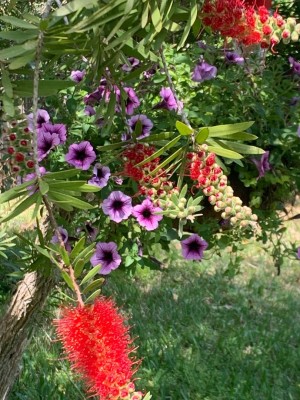 thumbnail (8).jpg