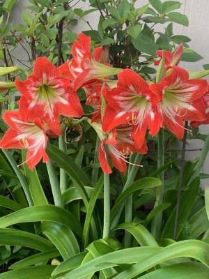 thumbnail (11).jpg