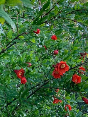 thumbnail (16).jpg