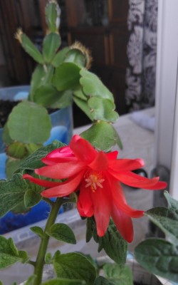 IMG_20210505_081143.jpg