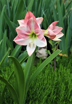 IMG_8672.JPG