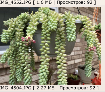 3444FEBD-62E9-47AC-9117-94B94DF8AF12.jpeg