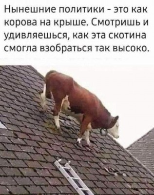 94DA3907-40F9-4F41-83E7-A53E4BB0C413.jpeg