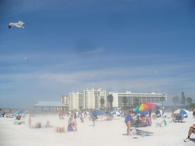 Clearwater beach-3.jpg