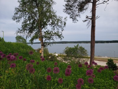 20190618_212509.jpg