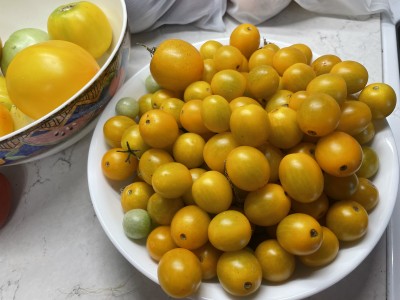 IMG_7658.JPG