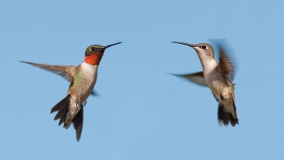 CBFAB72F-E658-4B11-BE0F-1604E816C557.jpeg
