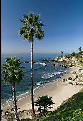 Palm Bay.jpg