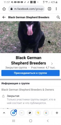 Screenshot_20211003-235730_Chrome.jpg