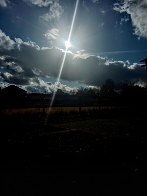 IMG_20211015_141810.jpg