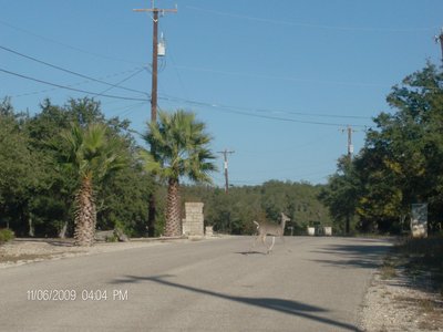 IRINA PICTURES IN SAN ANTONIO 084.jpg