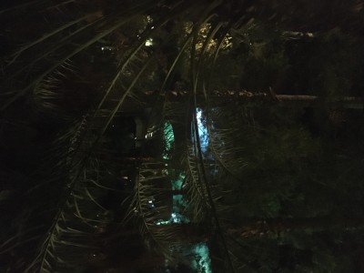 3325AEDB-C25E-4946-9542-2E68D6A16447.jpeg