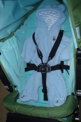 Baby Stroller 051.JPG