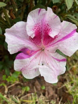 thumbnail (13).jpg