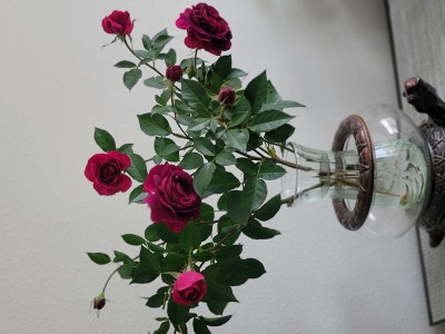 20211214_141143.jpg