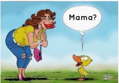 FB_IMG_1635840111555.jpg