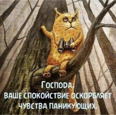 D9FDBC7C-DF01-4145-8C7D-B03FC0B9DA95.jpeg