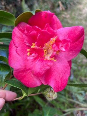 thumbnail (13).jpg