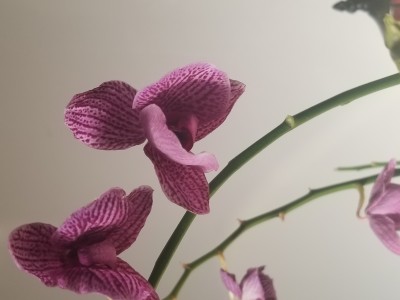 20220215_084250.jpg
