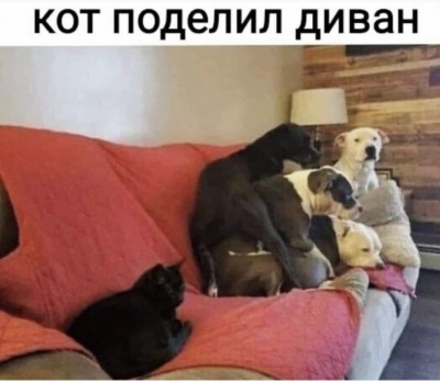 6CA55555-12DA-41B9-B82D-5676C4EA6DCF.jpeg