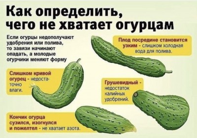CF41610A-2C88-462D-88AD-8BC47C2997E8.jpeg