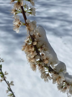 IMG_5923.jpg