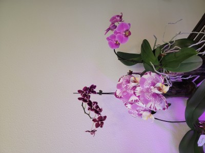 20220316_114555.jpg