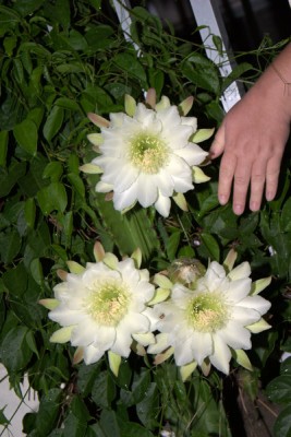 CRW_2953.jpg