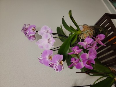 20220412_191658.jpg