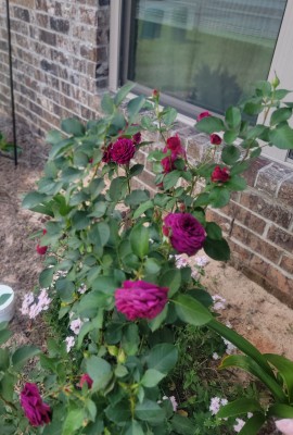 20220426_151052.jpg