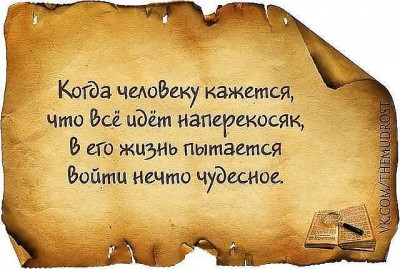 0bDTJeJAWEGOZTeEw5ZNKc9RFuDHRWnn2zCQY6SYqboX3OT6HxQwBh8FU3Sb-chWMhWqpo32.jpg