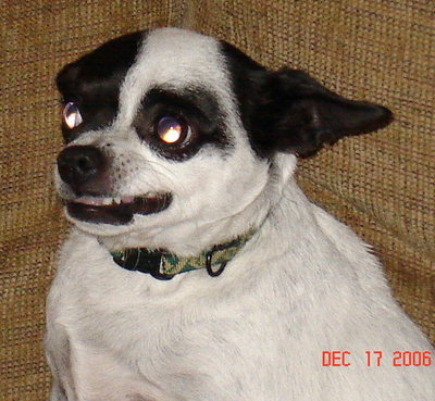 DSC02441.JPG