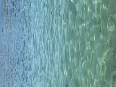 6B2AA4B0-D70C-40DE-B04E-6BEEE59878F0.jpeg