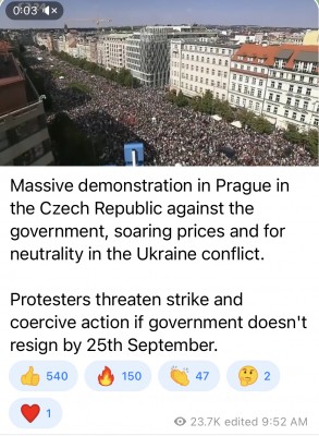 03598E42-1C85-48F3-B9AB-3CC61F2B4611.jpeg