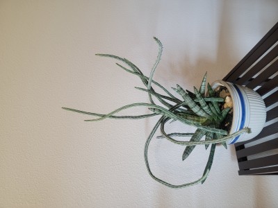 20221018_114758.jpg