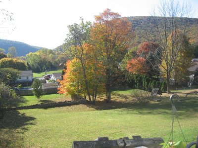 IMG_1521.JPG
